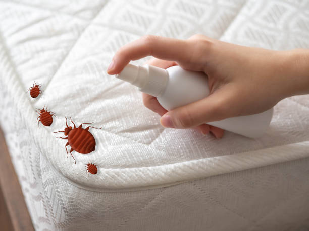 Best Pest Prevention Services  in Arcadia, IN